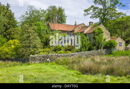 Ancienne ferme convertie en plein milieu du Parc National des North York Moors près du petit village de Goathland, Yorkshire, UK Banque D'Images