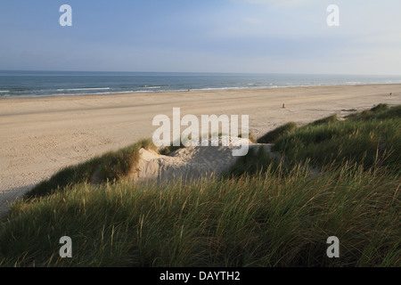 Grande plage de sable et des dunes de sable à Blokhus, Danemark Banque D'Images