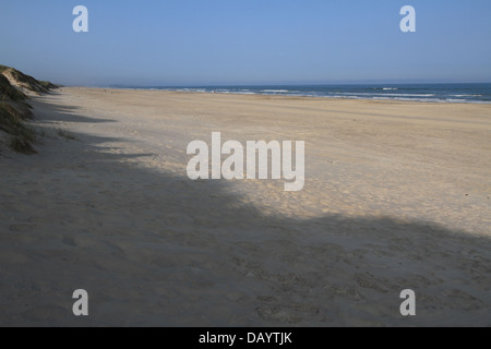 Grande plage de sable à Blokhus, Danemark Banque D'Images