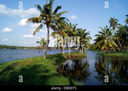 Belle Kerala Backwaters entourant les cocotiers vue Paysage à Kerala Inde Banque D'Images