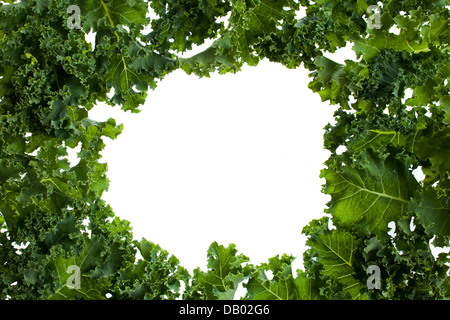 Bouquet de chou vert avec un fond blanc dans le milieu Banque D'Images