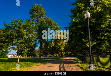 Lampe et brique chemin à travers les arbres sur la Colline parlementaire fédérale, Baltimore, Maryland. Banque D'Images