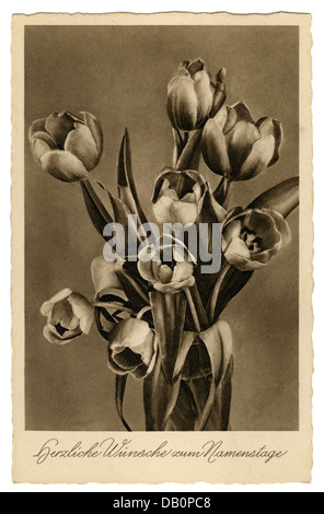 Festivités, cartes de voeux nom jour, 'Herzliche Wünsche zum Namenstage' (souhaits les plus chaleureux pour votre nom), tulipes, carte postale, Allemagne, années 1930, droits additionnels-Clearences-non disponible Banque D'Images