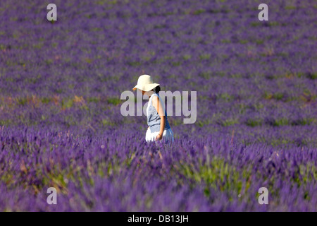 Femme en champ de lavande, Provance Banque D'Images