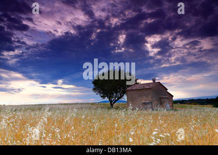 Une maison dans un champ de blé, France Banque D'Images