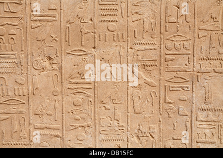 D'hiéroglyphes. L'Égypte Banque D'Images