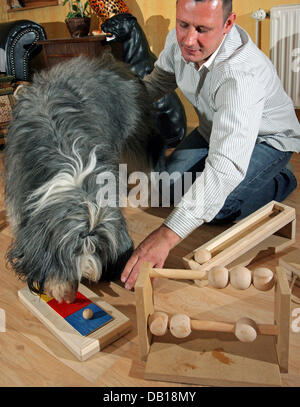 Dogowner Jens Reinhold teste les capacités de son Bearded Collie Anton avec des jouets pour chiens en Zwirtzschen, Allemagne, 14 novembre 2007. Le 38-year-old, qui a été l'exécution d'un magasin d'antiquités depuis 1990, 2006 a commencé à produire des jouets en bois pour ses chiens. Plus de 1 000 pièces sont fabriqués par mois à destination de clients en Suisse, Autriche, Suède et autour de th Banque D'Images