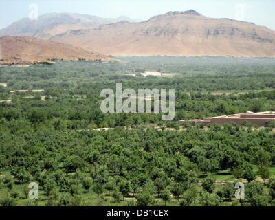 (Afp) le fichier photo datée du 07 mai 2005 offre une vue sur les forêts sur les montagnes d'Urusgan province du sud de l'Afghanistan. Selon les informations de l'agence de presse allemande dpa dating 07 décembre 2007, le Ministère fédéral du développement a approuvé la participation de la coopération technique allemande (GTZ) pour l'expansion de l'Urusgan province Allemagne participation civile dans Banque D'Images