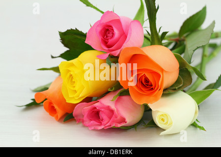 Bouquet de roses multicolores, Close up Banque D'Images