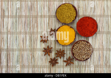 Sélection d'épices indiennes sur bambou with copy space Banque D'Images