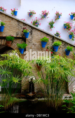 Des fleurs décorent les murs et d'un balcon dans le quartier juif de Cordoue, Andalousie, Espagne Banque D'Images