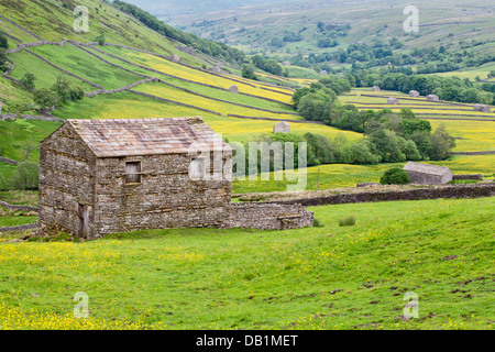 Domaine Grange et Buttercup Meadows près de Mickfield dans Swaledale England Yorkshire Dales Banque D'Images