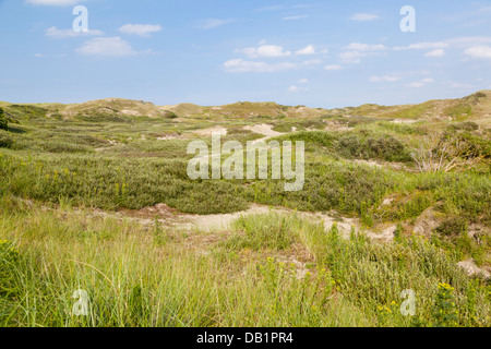 Envahis par les dunes de sable de la mer du Nord en Norderney, Allemagne. Banque D'Images