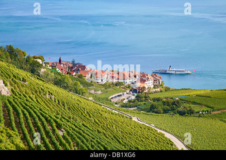 Vignobles de la région de Lavaux sur le lac Léman (Lac de Genève) Banque D'Images