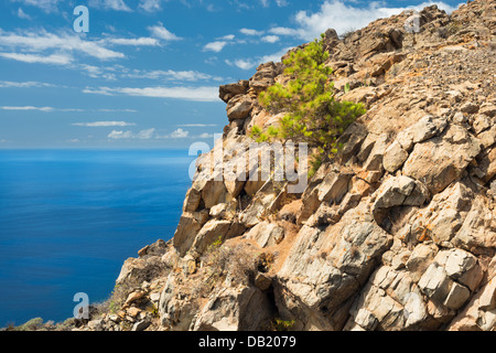 Le phonolitic rocheux de Roque Teneguia, Fuencaliente, La Palma, Canary Islands Banque D'Images