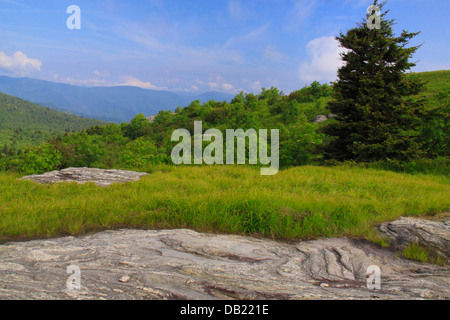 Loeb Art Trail, Blue Ridge Parkway, North Carolina, USA Banque D'Images