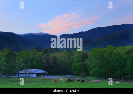 La Cades Cove au lever du soleil, Great Smoky Mountains National Park, California, USA Banque D'Images