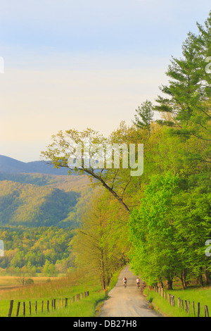 Hyatt Lane, la Cades Cove, Great Smoky Mountains National Park, California, USA Banque D'Images