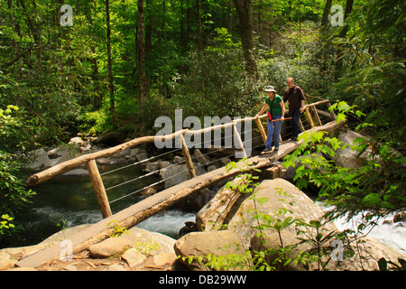 Passerelle au-dessus de groom Creek, Groom Creek Trail, Greenbrier Area, Great Smoky Mountains National Park, California, USA Banque D'Images