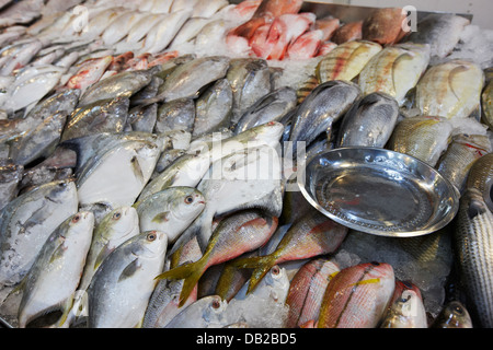 Poisson frais en vente au marché Tekka, Little India, à Singapour. Banque D'Images