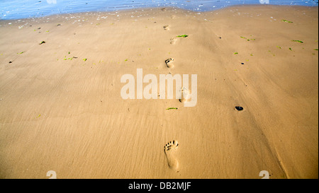 Des traces de pas dans le sable plage Holkham Norfolk Angleterre Banque D'Images