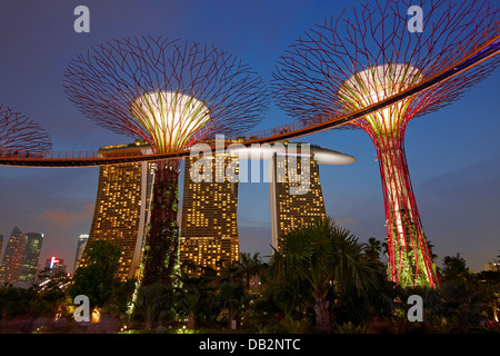 Supertree Grove au Gardens by the Bay et Marina Bay Sands Hotel allumé au crépuscule. Singapour. Banque D'Images
