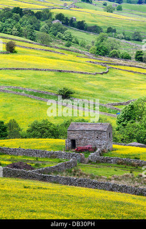 Grange et Buttercup Meadows près de Mickfield dans Swaledale England Yorkshire Dales Banque D'Images