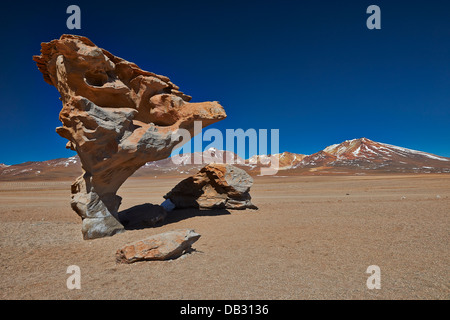 Célèbre Arbol de Piedra de rocher comme arbre de pierre, Reserva Nacional de Fauna Andina Eduardo Abaroa, Bolivie, Amérique du Sud Banque D'Images