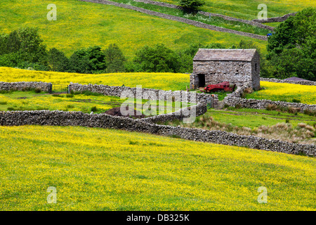 Domaine Grange de Buttercup Meadows près de Mickfield dans Swaledale England Yorkshire Dales Banque D'Images