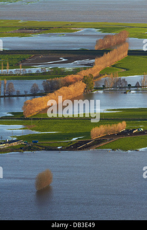 Sur les terres agricoles inondées, près de plaines Taieri Mosgiel, Dunedin, île du Sud, Nouvelle-Zélande Banque D'Images