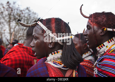 Les jeunes guerriers masaï habillé en vêtements traditionnels et protège tête la danse à une fête de mariage. Banque D'Images