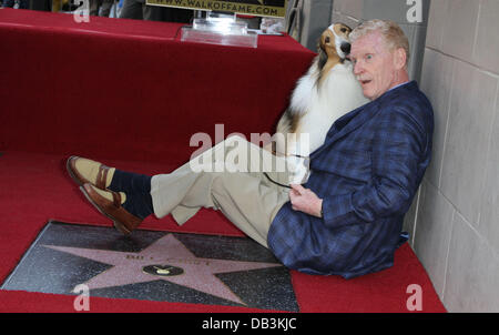 Bill Geist, Lassie Bill Geist honoré avec une étoile sur le Hollywood Walk of Fame tenue sur Hollywood boulevard Hollywood, Californie - Banque D'Images