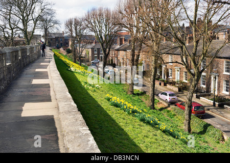 Vue le long des murs de la vieille ville à l'égard du nord Micklegate Bar, York, Royaume-Uni. Banque D'Images