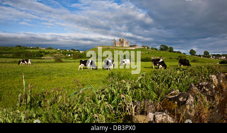 Vallée irlandaise pittoresque du Rocher de Cashel avec vaches Holstein au premier plan, Comté de Tipperary, Irlande campagne Europe, site historique Banque D'Images