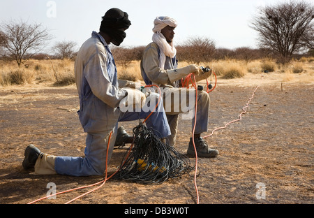 Au cours de l'enquête physique Geo seismic exploration pétrolière. Câble de liaison de l'équipage et des capteurs télémétriques avant la pose des lignes d'enregistrement Banque D'Images