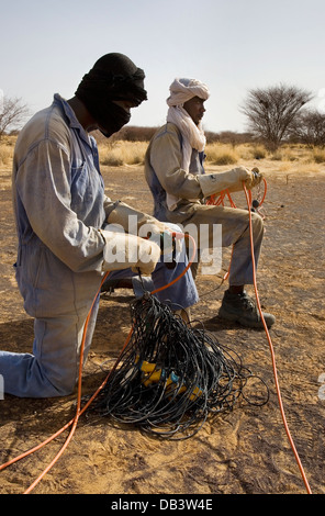 Au cours de l'enquête physique Geo seismic exploration pétrolière. Câble de liaison de l'équipage et des capteurs télémétriques avant la pose des lignes d'enregistrement Banque D'Images