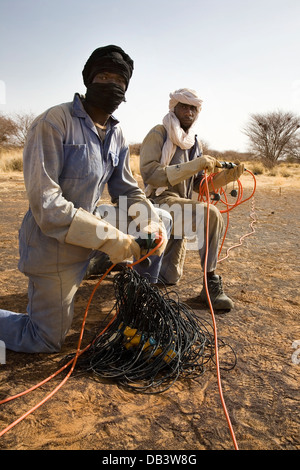 Au cours de l'enquête physique Geo seismic exploration pétrolière. Câble de liaison de l'équipage et des capteurs télémétriques avant la pose des lignes d'enregistrement Banque D'Images