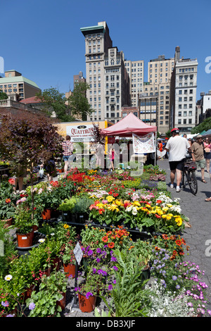 Union Square greenmarket, New York City Banque D'Images