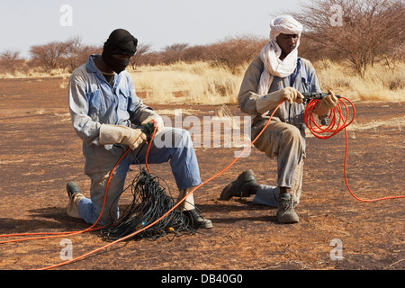 Au cours de l'enquête physique Geo seismic exploration pétrolière. Câble de liaison de l'équipage et des capteurs télémétriques avant la pose des lignes d'enregistrement Banque D'Images