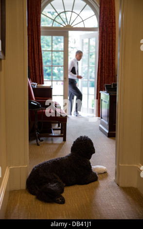 Bo, le chien de la famille Obama, attend pour saluer le président Barack Obama dans le bureau ovale extérieure, 11 juin 2013. Banque D'Images