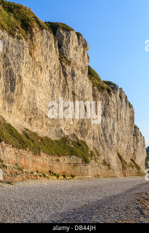 Falaises Blanches sur la côte normande, près de Fécamp, France Banque D'Images