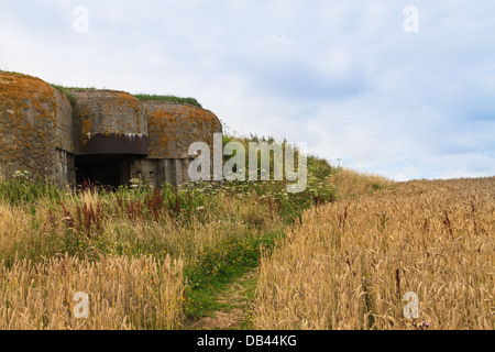 Vieux bunker allemand en Normandie, Seconde Guerre mondiale, France Banque D'Images