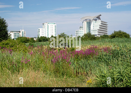 Terres humides de la baie de Cardiff zone contenant le St David's Hotel et appartements Bay, dans le sud du Pays de Galles UK Banque D'Images