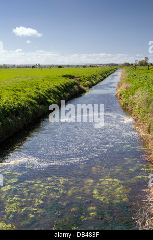 River Sheppey prises près de Godney Fenney et château sur les niveaux de Somerset, England, UK Banque D'Images