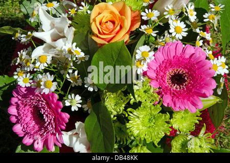 Un mélange de fleurs Banque D'Images