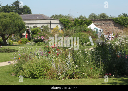 Image de Le Jardin botanique de Marley Park, Dublin pendant le tournage du film 'Wild' Banque D'Images