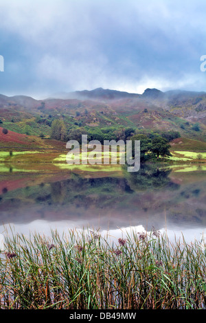 Rydal Water, Lake District, Cumbria. Banque D'Images