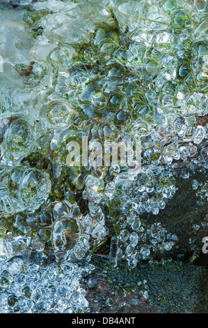 Flaque d'eau gelée sur chemin de pierre glacée en close-up, montrant de beaux modèles naturels, formes et formulaires - Burley Moor, près de Bradford, Yorkshire, Angleterre, Royaume-Uni. Banque D'Images