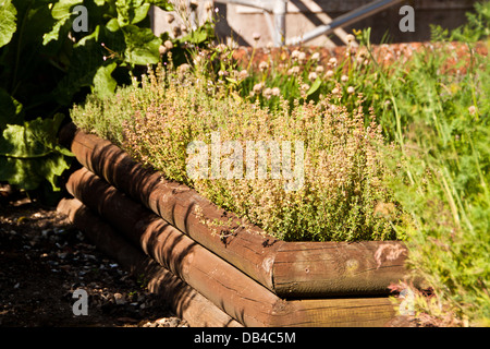 Bereleigh Estate cuisine jardin. Banque D'Images