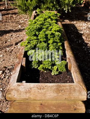 Bereleigh Estate cuisine jardin. Banque D'Images